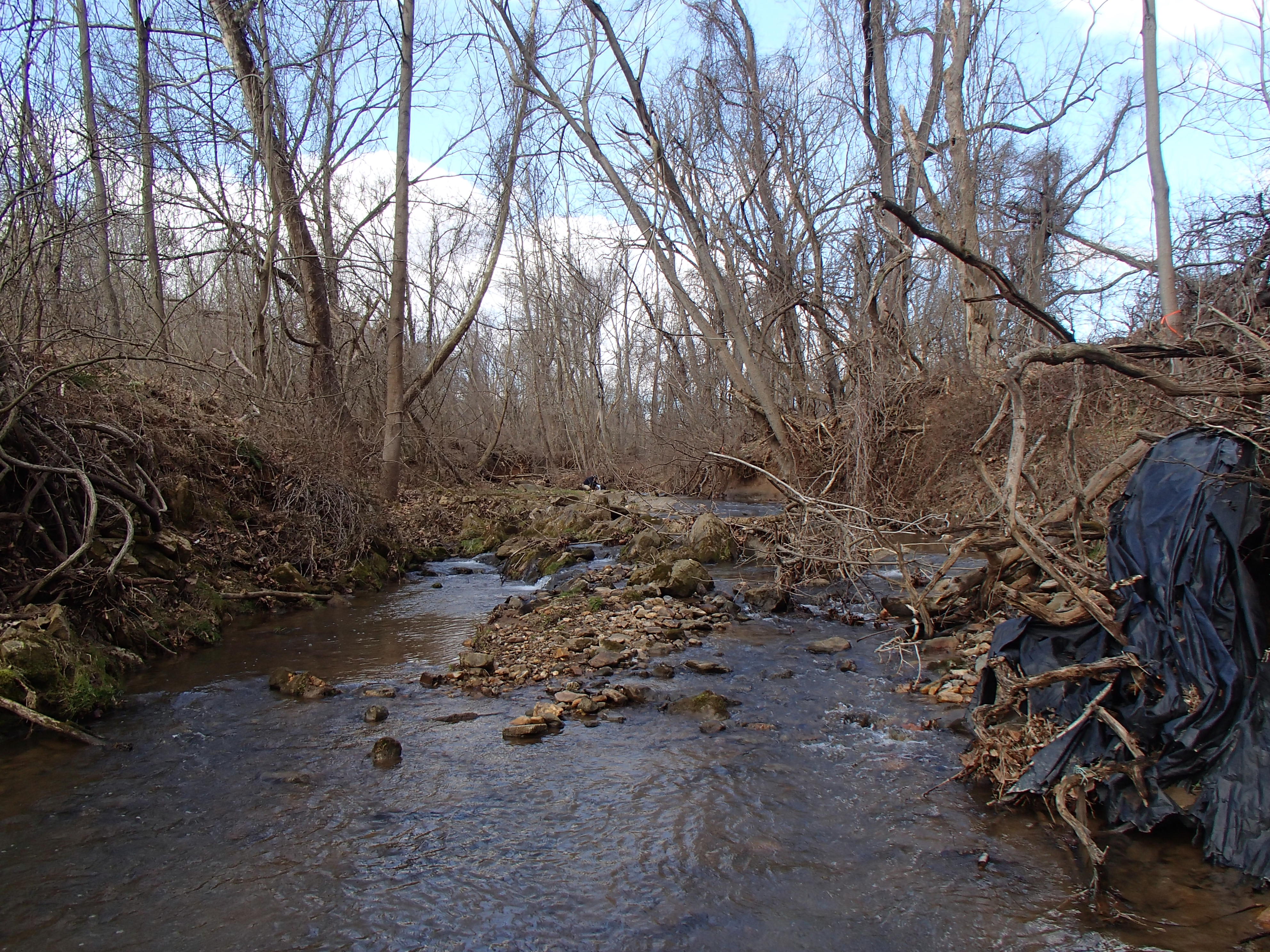 Field photo showing stream conditions at site LOCH-114-R-2016_Upstream from midpoint